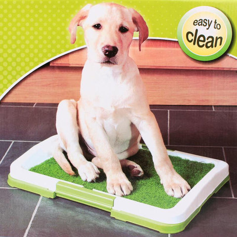 Pet Dog Fence Toilet Training Pad - 60% Off - Limited Stock
