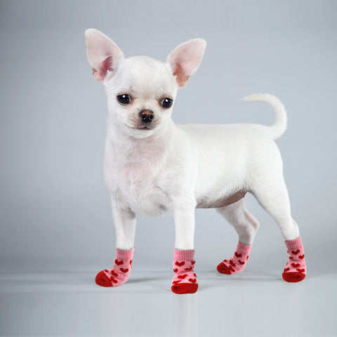Winter Pet Dog Shoes Anti-Slip Knit Socks Small Dogs Cat Shoes Chihuahua Thick Warm  Paw Protector Dog Socks Booties Accessories